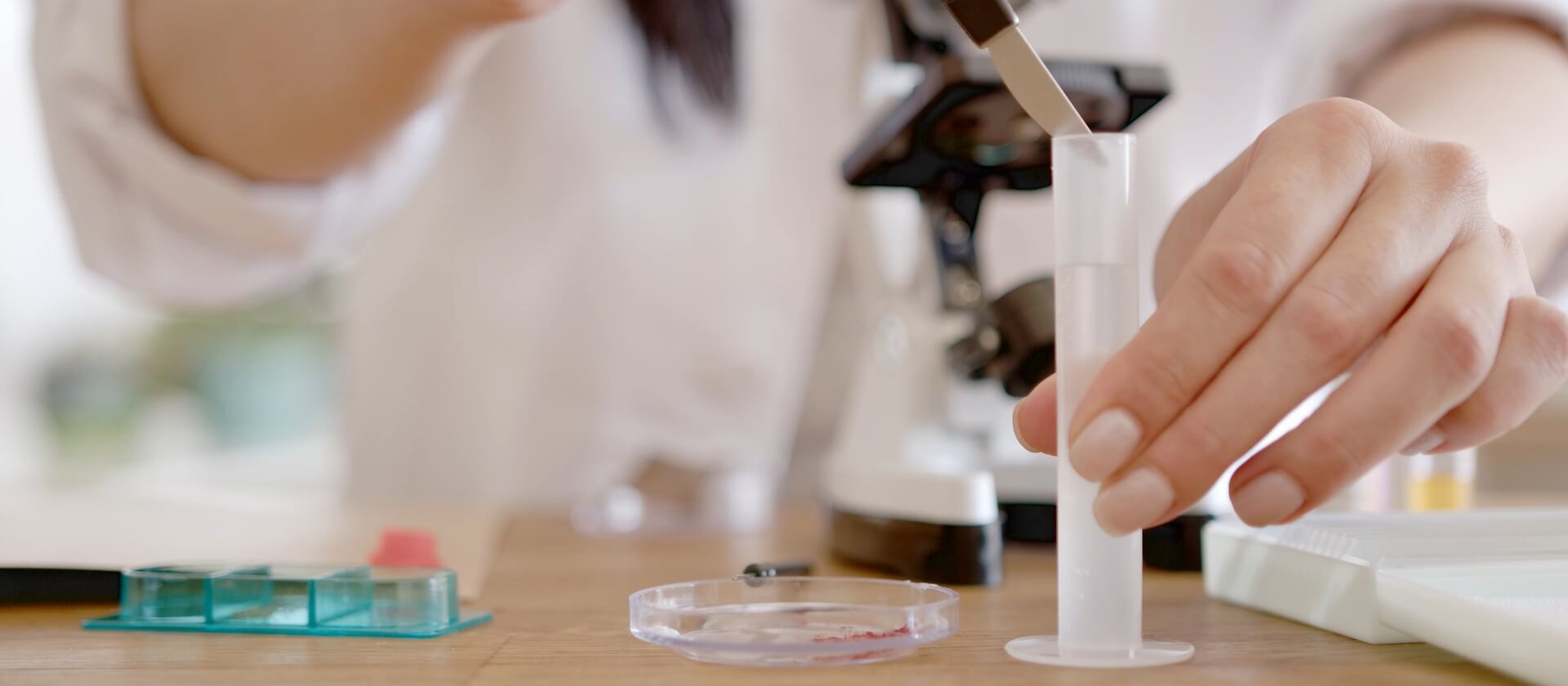 Formación e investigación